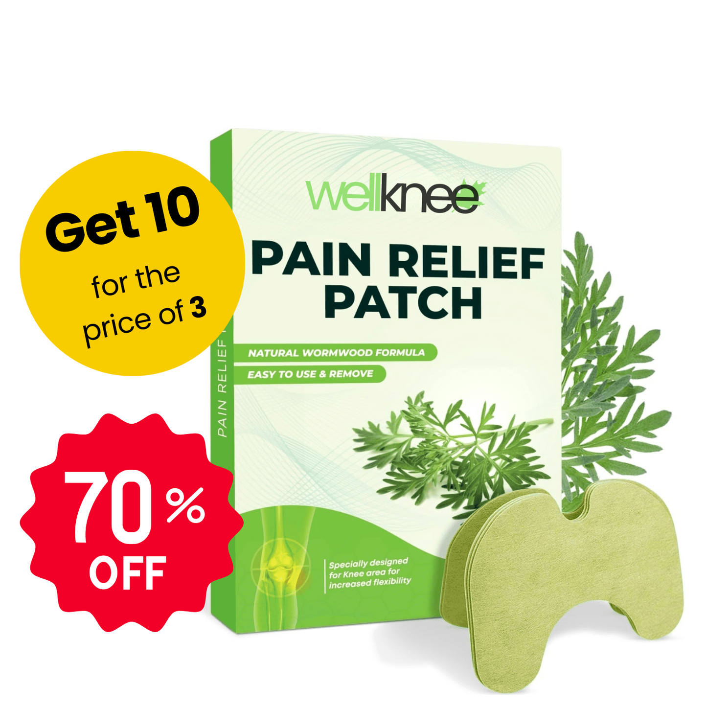 Wellnee Pain Relief Patch